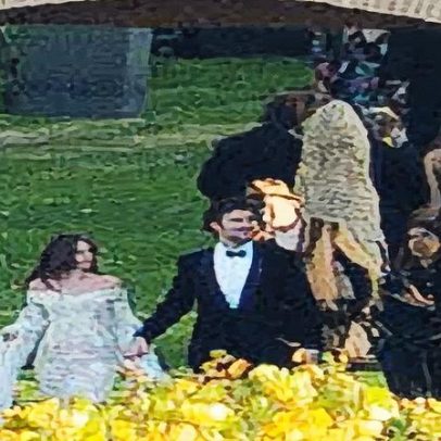 Stella, filha de Banderas e Griffith, casa-se com amor de infância em casamento luxuoso