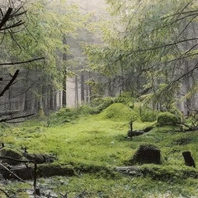 Estudo aponta que o TFFF pode evitar até 4,6 trilhões de toneladas de CO2