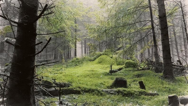 (Guillaume Temin/Getty Images)