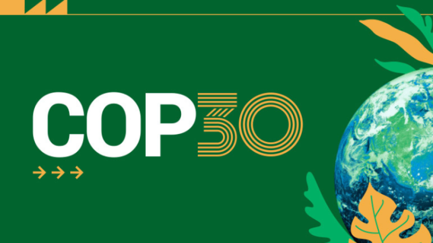 Imagem: Reprodução