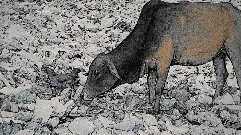 (Mojahid Mottakin/Getty Images)