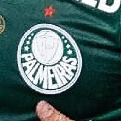 Palmeiras conquista primeiro título de sua história