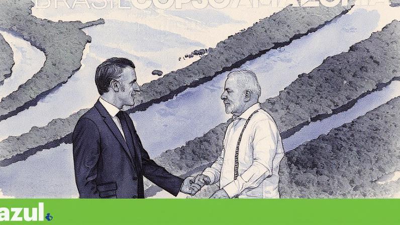 Países europeus apoiam iniciativa francesa para proteger floresta do Congo