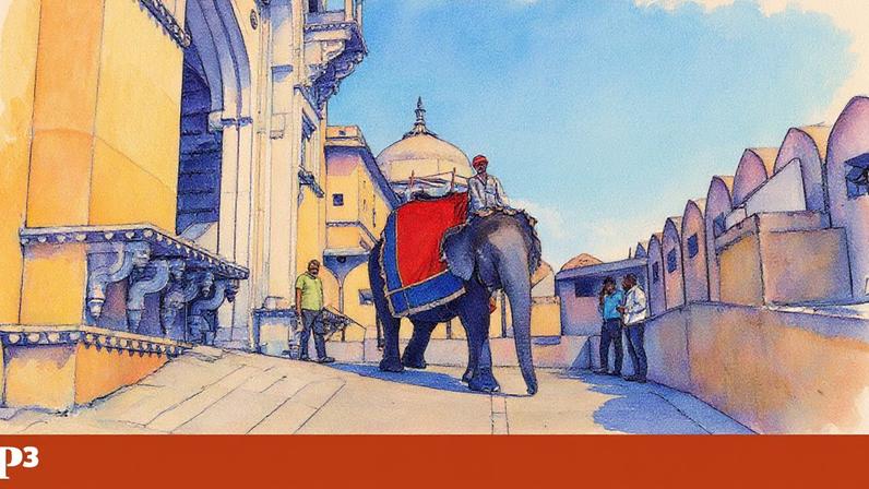 Elefantes outrora sagrados na Índia atacam por pura frustração