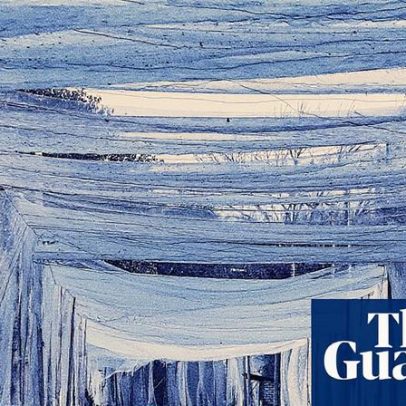 Redes de pesca francesas protegem contra drones russos na Ucrânia