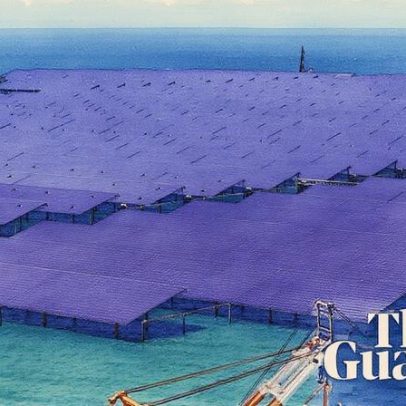 Emissões de CO2 da China ficam estáveis ou caem há 18 meses, aponta análise