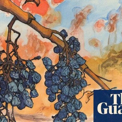 Vinicultores franceses enfrentam batalha pela sobrevivência enquanto ministro prepara negociações de crise