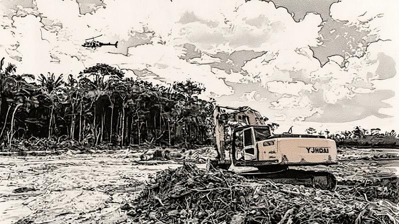 Câmara aprova aumento de pena para mineração ilegal em terras indígenas