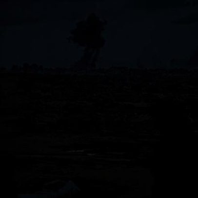 Organização sombria facilita fuga de Gaza através de Israel, diz reportagem