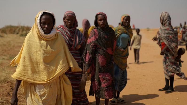 Massacres em Darfur e avanço rebelde desafiam papel dos Emirados no Sudão