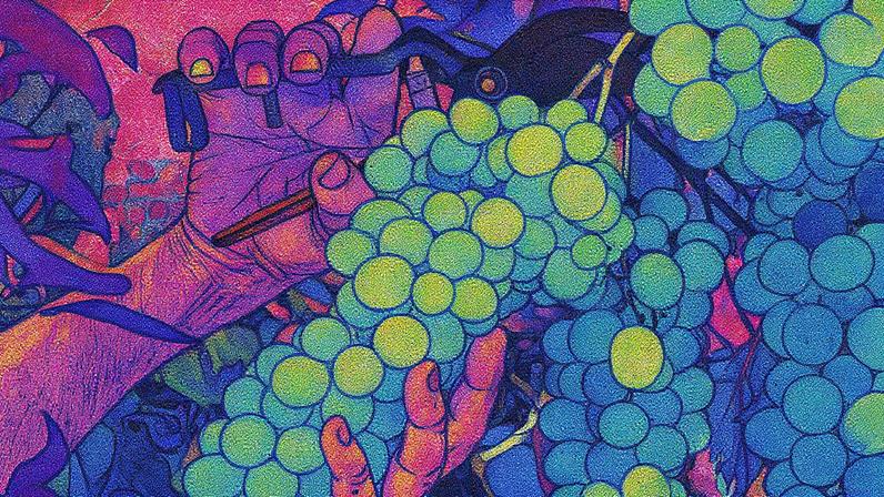 Manter-se conectado à videira requer permanência, rendição e fruto - Foto: Freepik