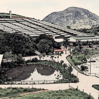 Igrejas adotam energia solar, unindo fé, economia e sustentabilidade