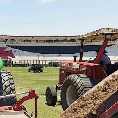 Troca do gramado de São Januário revela custos, processo e gramado escolhido