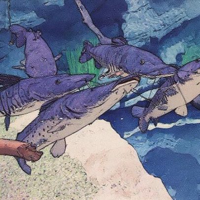 Novo aquário em Foz do Iguaçu é um dos maiores da América do Sul