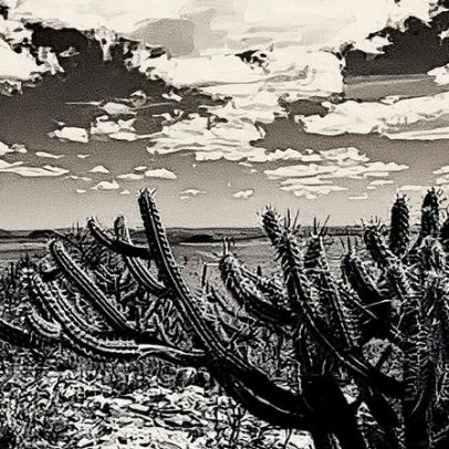 Bancos de desenvolvimento destinam 100 milhões para preservação da Caatinga