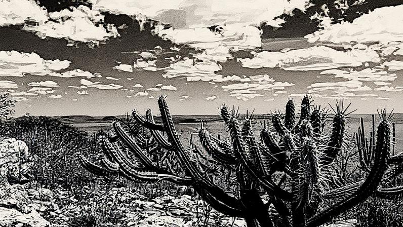 Região da Caatinga. Foto: Gabriel Carvalho/Setur-BA