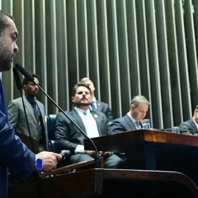 Castro minimiza carbono oculto e diz que crime organizado tem outros braços