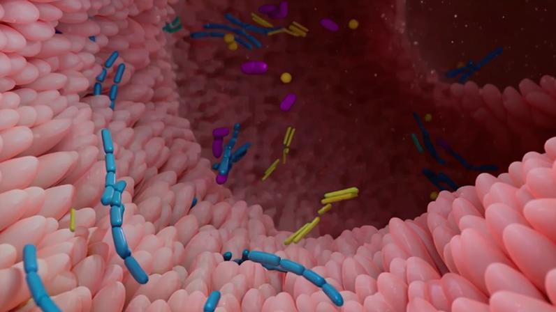 Estudo revela que metade do corpo humano envolve componentes não humanos