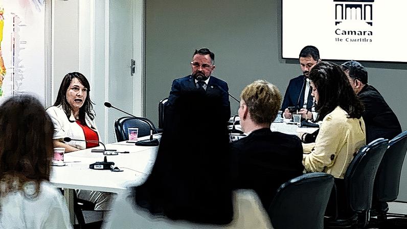 Vereadora Professora Angela (PSOL) depõe à Comissão Processante na Câmara de Curitiba. (Foto: Divulgação/CMC)