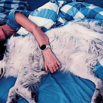 Dormir com os patudos tem prós e contras