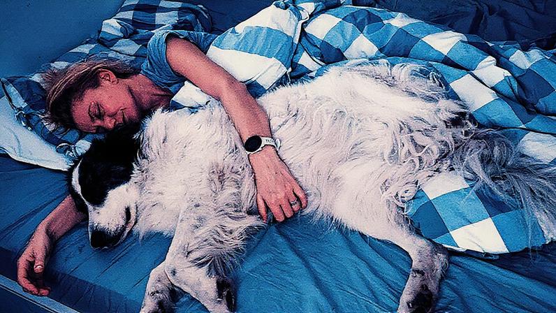 Será que é boa ideia dormir com os patudos? Fique com os prós e contras