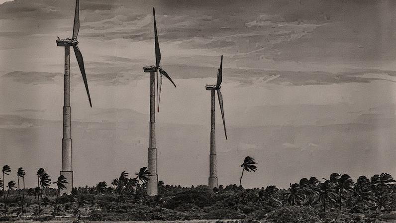 Pesquisa ABDI/Nexus revela que 3 em cada 4 brasileiros apoiam a economia verde e esperam novos empregos - Foto: Divulgação/Ari Versiani/PAC