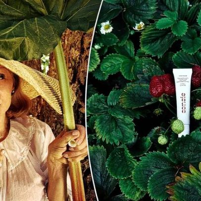 Sonsie lança balm labial de ruibarbo